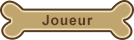 Joueur Joueur